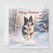 Cartes Pour Fêtes Annuelles Bordure Collie Chien En Neige Joyeux Noël (Devant)
