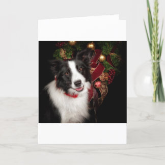 Cartes Pour Fêtes Annuelles Bordure Collie Noël