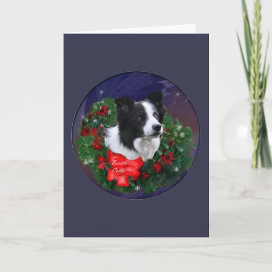 Cartes Pour Fêtes Annuelles Bordure Collie Noël (Devant)
