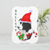 Cartes Pour Fêtes Annuelles Bordure Collie Noël (Debout devant)