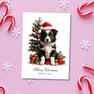Cartes Pour Fêtes Annuelles Bordure souriante Collie Noël Chiot Personnalisé