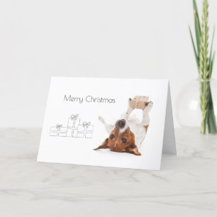 Cartes Pour Fêtes Annuelles Boris - Jack Russell Terrier - Joyeux Noël