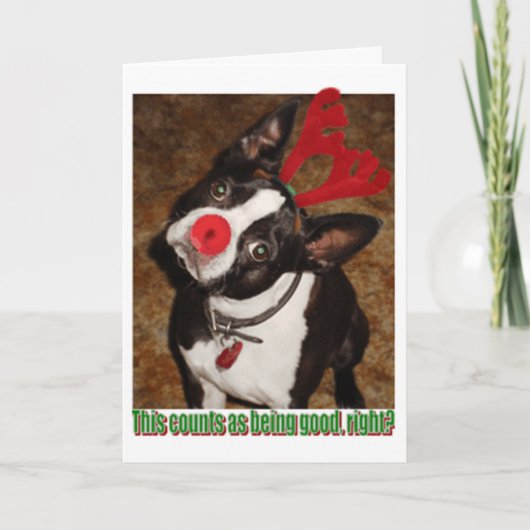 Cartes Pour Fêtes Annuelles Boston1 (Devant)