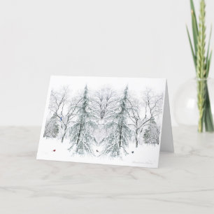 Cartes Pour Fêtes Annuelles Boston Public Garden : Plaisirs simples de la sais