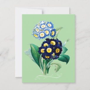 Cartes Pour Fêtes Annuelles Botanique du Primrose