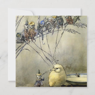 Cartes Pour Fêtes Annuelles « Bother the Gnat » par A Duncan Carse