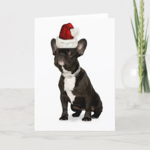 Cartes Pour Fêtes Annuelles Bouledogue Ditzy de Dogs~Original Notecard~French