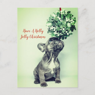 Cartes Pour Fêtes Annuelles Bouledogue Français Et Gui Fête De Noël