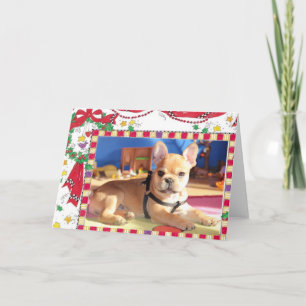 Cartes Pour Fêtes Annuelles Bouledogue français Fête Bouledogue Français