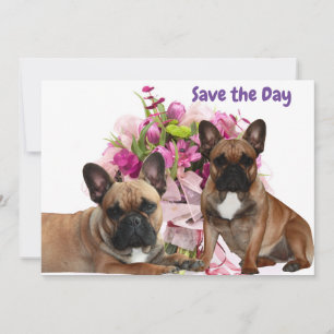 Cartes Pour Fêtes Annuelles Bouledogue français fleurs célébration Bouledogue