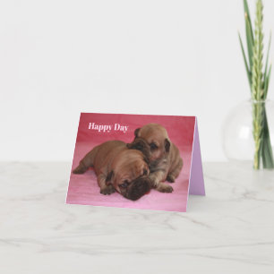 Cartes Pour Fêtes Annuelles Bouledogue français Happy Day French Bulldog