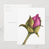 Cartes Pour Fêtes Annuelles bourgeon de pivoine (Devant / Derrière)