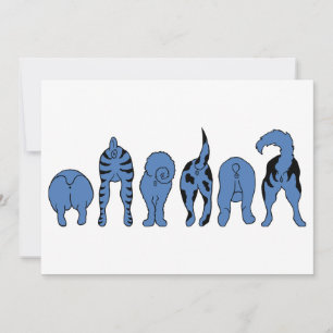 Cartes Pour Fêtes Annuelles Boutons de chien bleu