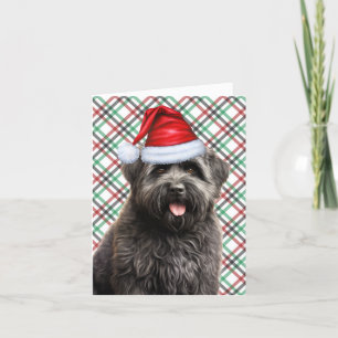 Cartes Pour Fêtes Annuelles Bouvier Christmas Chien Vert Rouge Plaid Noël