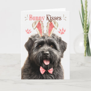 Cartes Pour Fêtes Annuelles Bouvier des Flandres Chien à Bunny Ears pour Pâque