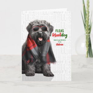 Cartes Pour Fêtes Annuelles Bouvier des Flandres Drôles de Puces Navidog avec 
