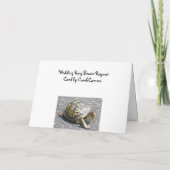 Cartes Pour Fêtes Annuelles Box Turtle (Dos)