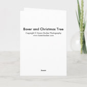 Cartes Pour Fêtes Annuelles Boxe et sapin de Noël (Dos)