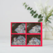 CARTES POUR FÊTES ANNUELLES BOXE MATILDAS WAITIN SUR PÈRE NOËL (Debout devant)