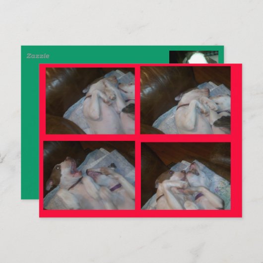 CARTES POUR FÊTES ANNUELLES BOXE MATILDAS WAITIN SUR PÈRE NOËL (Devant / Derrière)