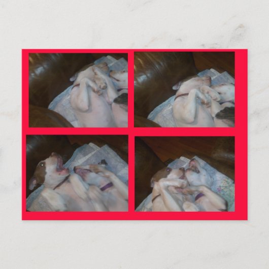 CARTES POUR FÊTES ANNUELLES BOXE MATILDAS WAITIN SUR PÈRE NOËL (Devant)