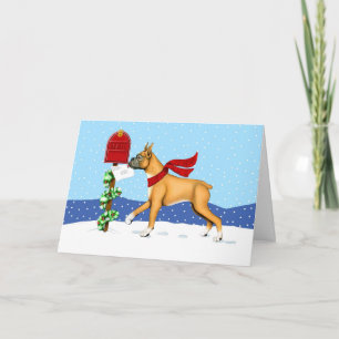 Cartes Pour Fêtes Annuelles Boxe Noël