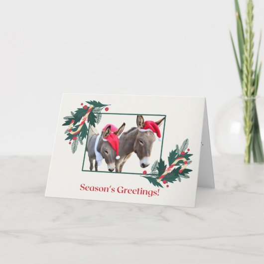 Cartes Pour Fêtes Annuelles Boxer et Benjamin vous souhaitent de joyeuses fête (Devant)