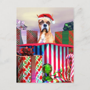 Cartes Pour Fêtes Annuelles Boxer Noël Surprise