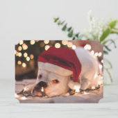 Cartes Pour Fêtes Annuelles Boxer Père Noël (Debout devant)