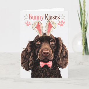 Cartes Pour Fêtes Annuelles Boykin Spaniel Chien dans Bunny Ears pour Pâques