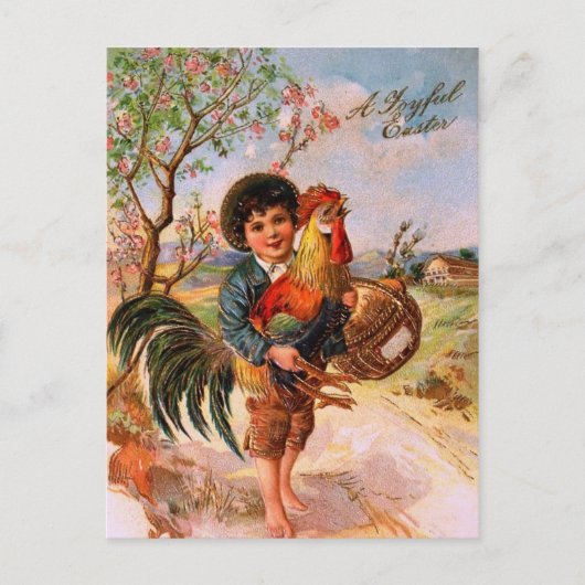 Cartes Pour Fêtes Annuelles Boys Rooster Gorgeous (Devant)
