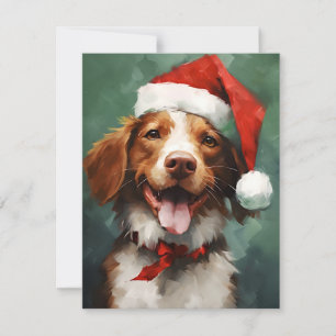 Cartes Pour Fêtes Annuelles Bracelet de Noël pour chien breton
