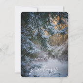 Cartes Pour Fêtes Annuelles Branches de pin enneigées (Devant)