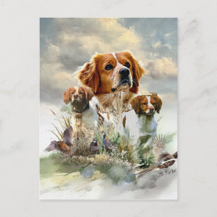 Cartes Pour Fêtes Annuelles Bretagne Espagnol, Bretagne française, Chien d'ois