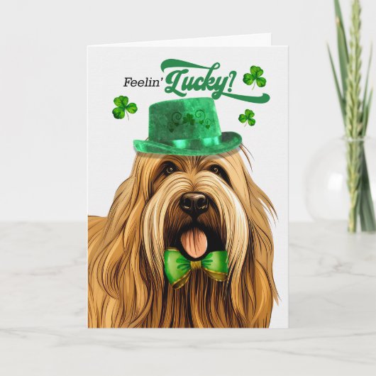 Cartes Pour Fêtes Annuelles Briard Dog Feelin' Lucky St Patrick's Day (Devant)
