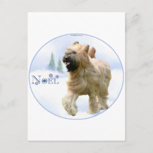 Cartes Pour Fêtes Annuelles Briard Noel
