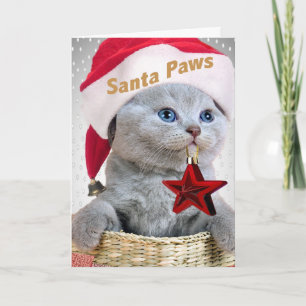 Cartes Pour Fêtes Annuelles British Shorthair Kitten Père Noël Paws