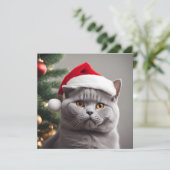Cartes Pour Fêtes Annuelles British Shorthair Noël (Debout devant)