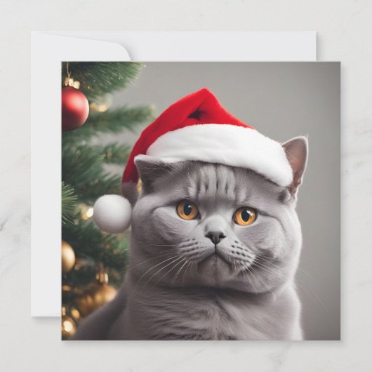 Cartes Pour Fêtes Annuelles British Shorthair Noël (Devant)