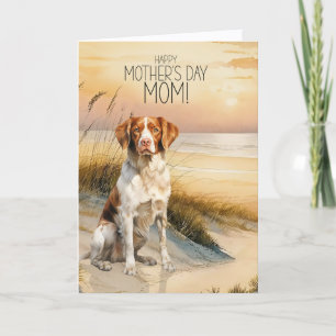 Cartes Pour Fêtes Annuelles Brittany Spaniel Chien Coucher de soleil Plage Fêt