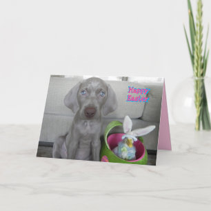 Cartes Pour Fêtes Annuelles Brooklyn's Easter - Weimaraner Dog / Puppy Card