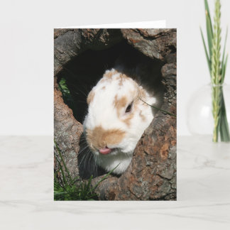 Cartes Pour Fêtes Annuelles Brouillard