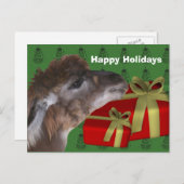Cartes Pour Fêtes Annuelles Brown Llama Ferme Animale Noël (Devant / Derrière)