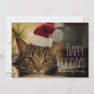 Cartes Pour Fêtes Annuelles Brown short-haired tabby cat
