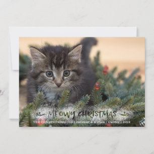 Cartes Pour Fêtes Annuelles Brush de photo de chat Script Snowy MEOWY NOËL