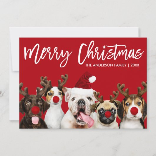 Cartes Pour Fêtes Annuelles Brush Script Star Joyeux Chiens de Noël Rouge (Devant)