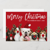Cartes Pour Fêtes Annuelles Brush Script Star Joyeux Chiens de Noël Rouge (Devant / Derrière)