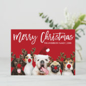 Cartes Pour Fêtes Annuelles Brush Script Star Joyeux Chiens de Noël Rouge (Debout devant)