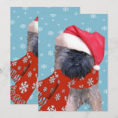 Cartes Pour Fêtes Annuelles Bruxelles Griffon (Devant / Derrière)