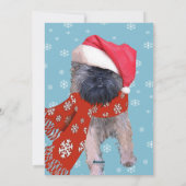 Cartes Pour Fêtes Annuelles Bruxelles Griffon (Dos)